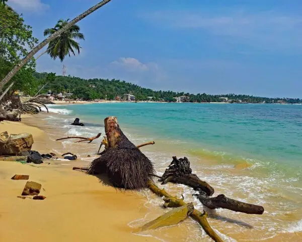 (2.) Foto-Impressionen zu: Reiseangebote Unawatuna