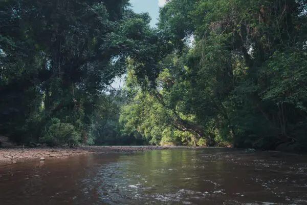 Foto von Taman Negara