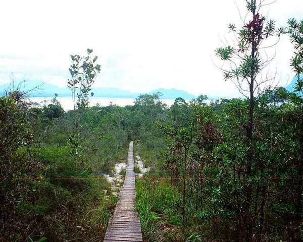 (1.) Foto-Impressionen zu: Reiseangebote Bako National Park