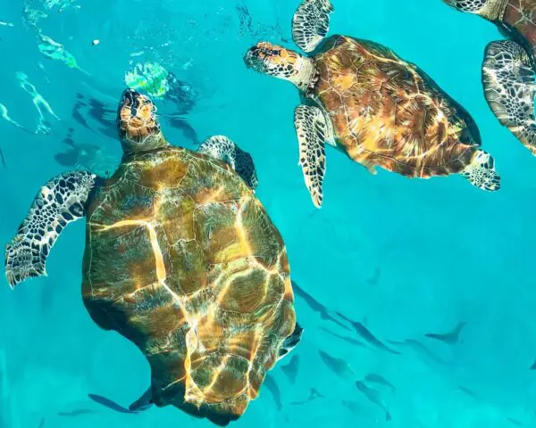 (4.) Foto-Impressionen zu: Reiseangebote Dungun