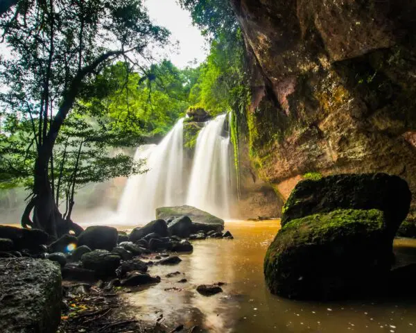 (2.) Foto-Impressionen zu: Reiseangebote Khao Yai Nationalpark