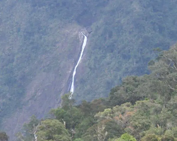 (2.) Foto-Impressionen zu: Reiseangebote Kinabalu National Park