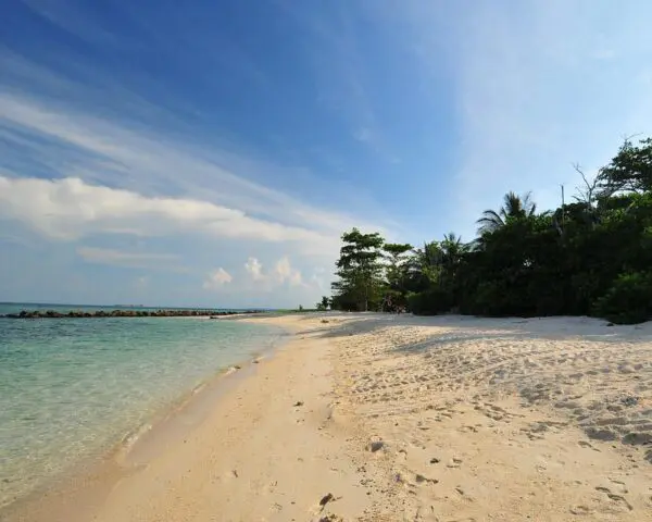 (1.) Foto-Impressionen zu: Reiseangebote Selingan Island