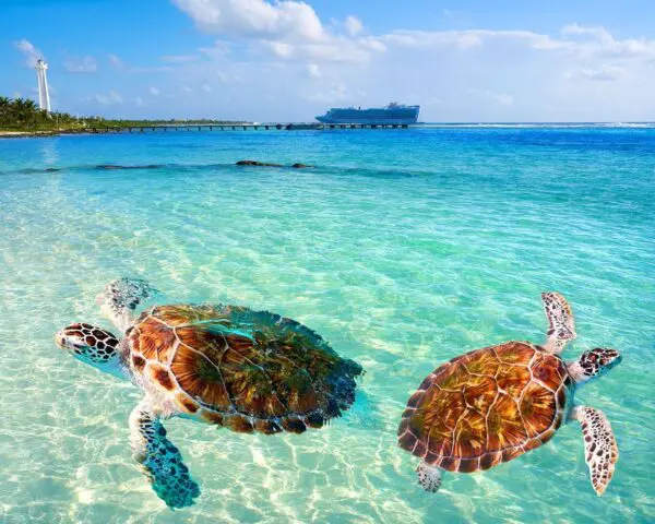 (7.) Foto-Impressionen zu: Reiseangebote Cancun