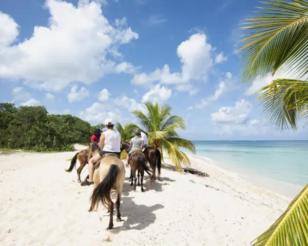 (2.) Foto-Impressionen zu: Reiseangebote Cozumel