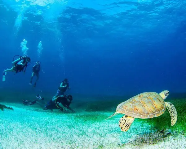 (2.) Foto-Impressionen zu: Reiseangebote Playa del Carmen