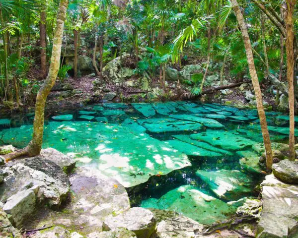 (5.) Foto-Impressionen zu: Reiseangebote Riviera Maya