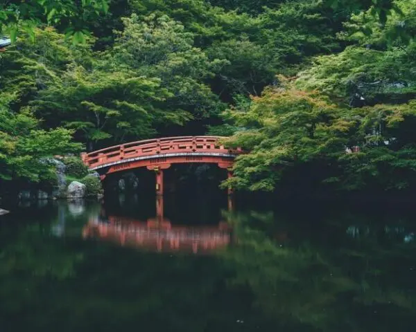 (4.) Foto-Impressionen zu: Reiseangebote Kyoto