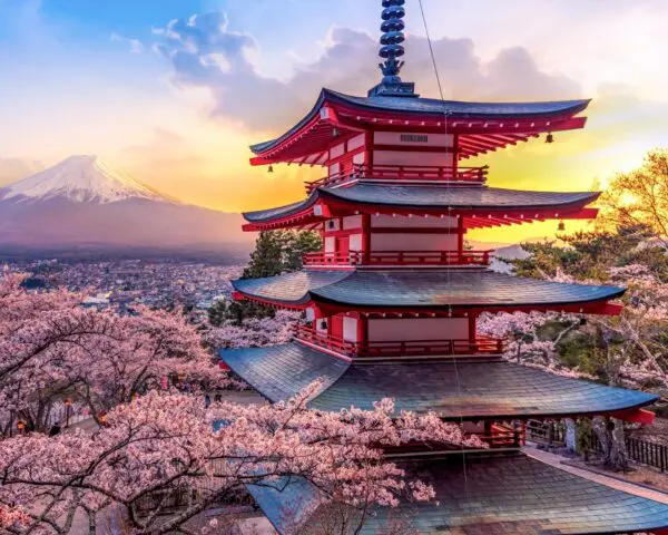 (2.) Foto-Impressionen zu: Reiseangebote Tokio