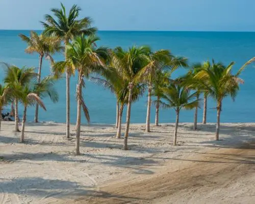 Reiseangebote Almirante