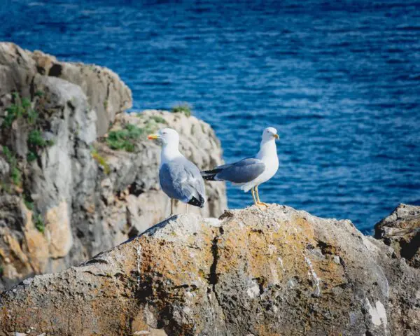 (2.) Foto-Impressionen zu: Reiseangebote Boca Chica