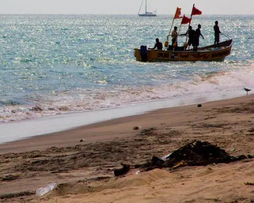 Reiseangebote Farallon
