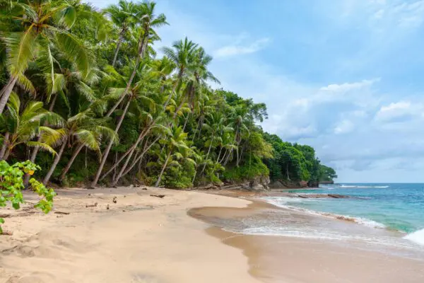 Foto von Playa Blanca