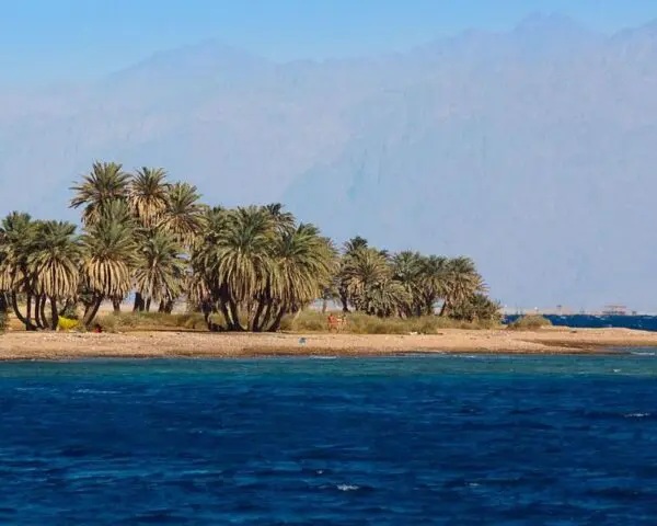 (3.) Foto-Impressionen zu: Reiseangebote Dahab