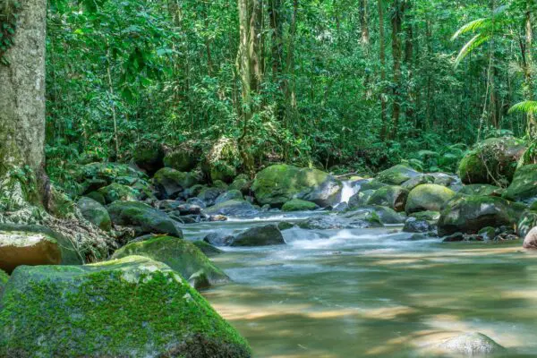 Foto von Rincon de la Vieja