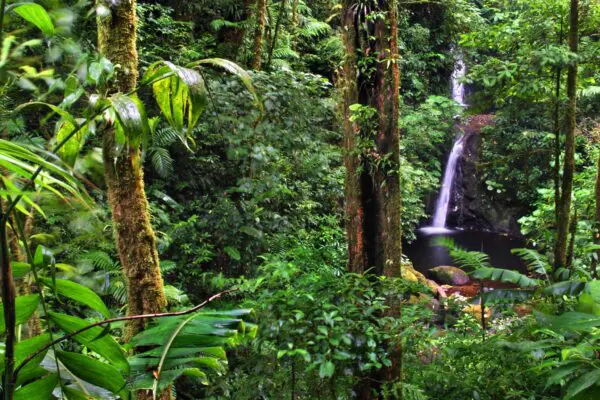 Foto von Monteverde
