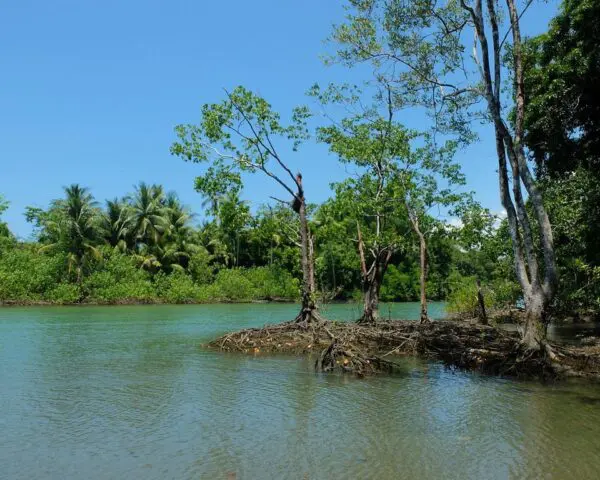 (3.) Foto-Impressionen zu: Reiseangebote Nationalpark Corcovado