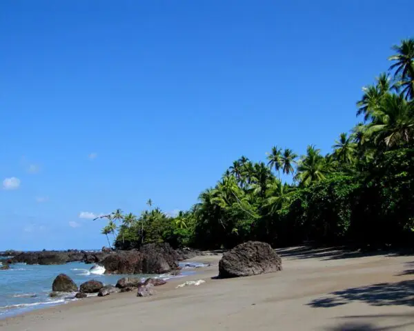 (1.) Foto-Impressionen zu: Reiseangebote Nationalpark Corcovado