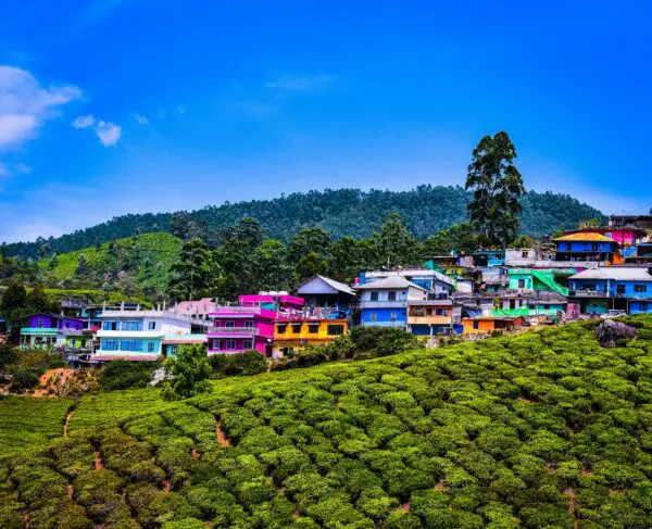 Foto von Munnar
