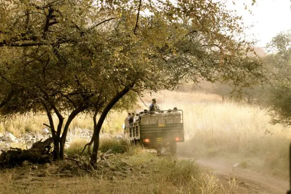 Foto von Ranthambore