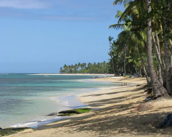 (2.) Foto-Impressionen zu: Reiseangebote Las Terrenas