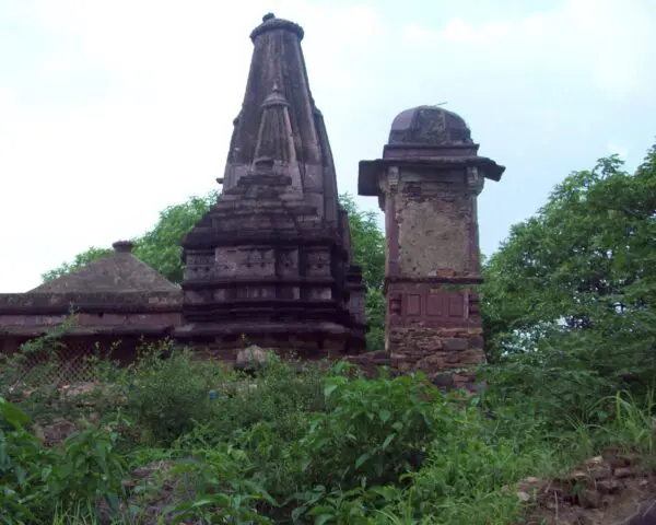 (2.) Foto-Impressionen zu: Reiseangebote Ranthambore
