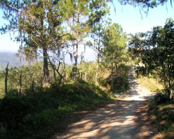 (3.) Foto-Impressionen zu: Reiseangebote Jarabacoa