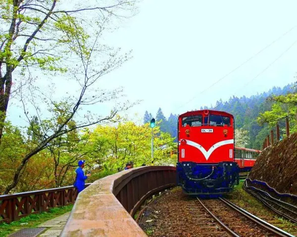 (2.) Foto-Impressionen zu: Reiseangebote Alishan