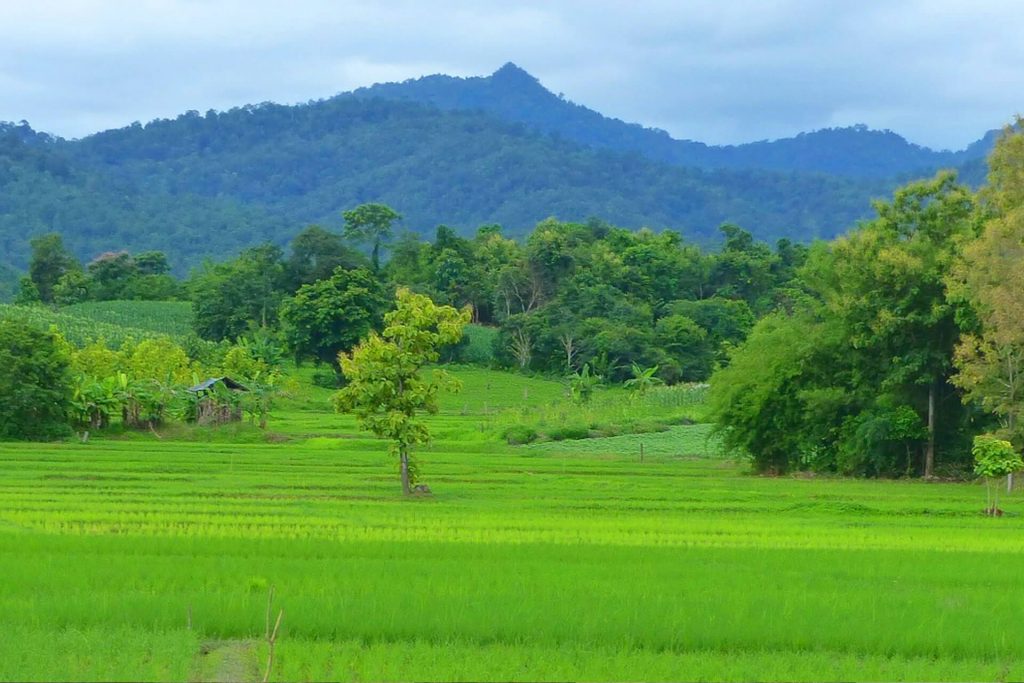 Rundreise Thailand - Landschaft Ebene und Berge