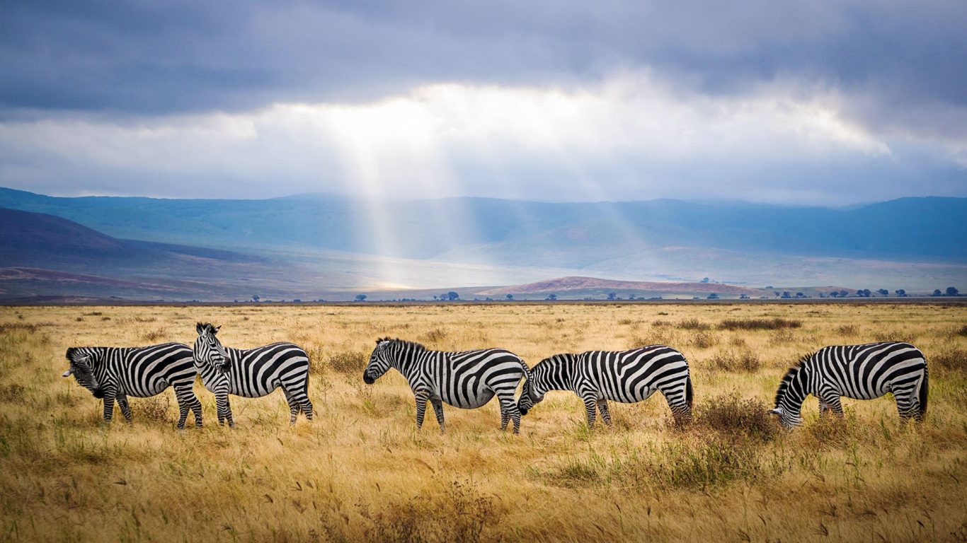 Tansania Hintergrundbild