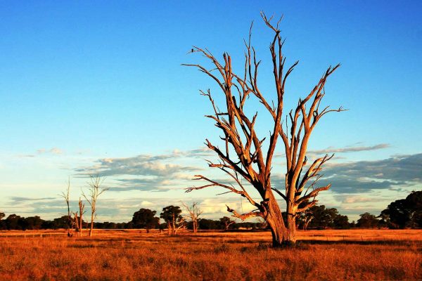 Sonnenuntergang in Australien