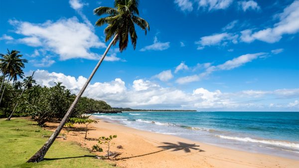 Strand, Dominikanische Republik