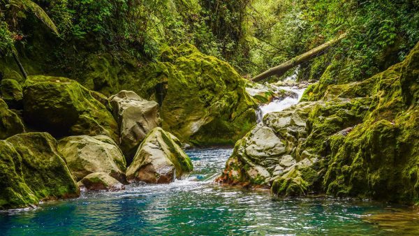 Wasserfall im Regenwald, Costa Rica