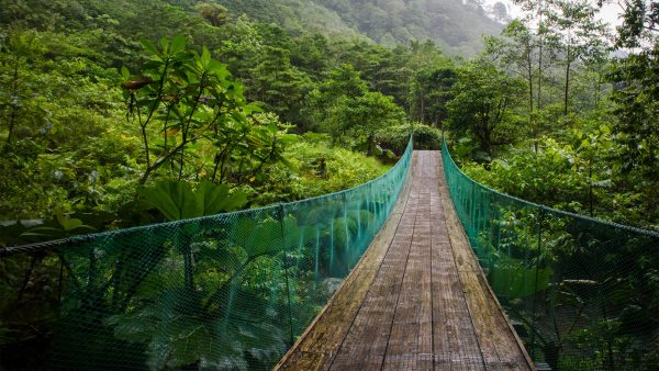 Hängebrücke im Regenwald, Costa Rica