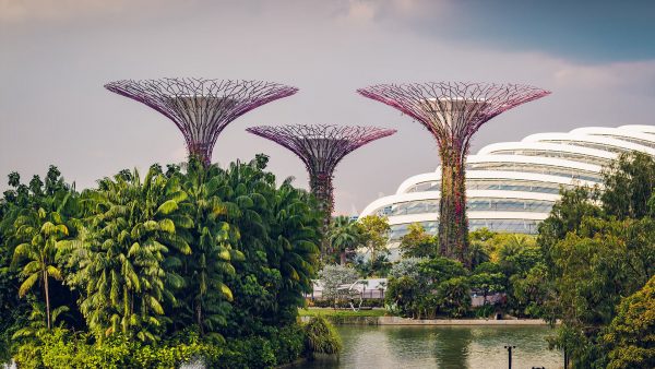 Gardens by the Bay, Singapur