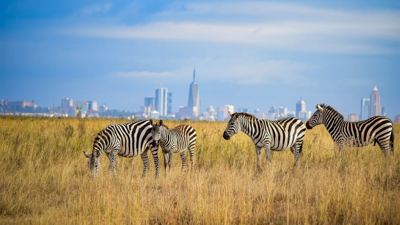 Nairobi mit Kurzsafari & Badeurlaub Bamburi Beach Hintergrundbild