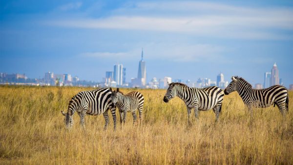 Nairobi mit Kurzsafari & Badeurlaub Bamburi Beach