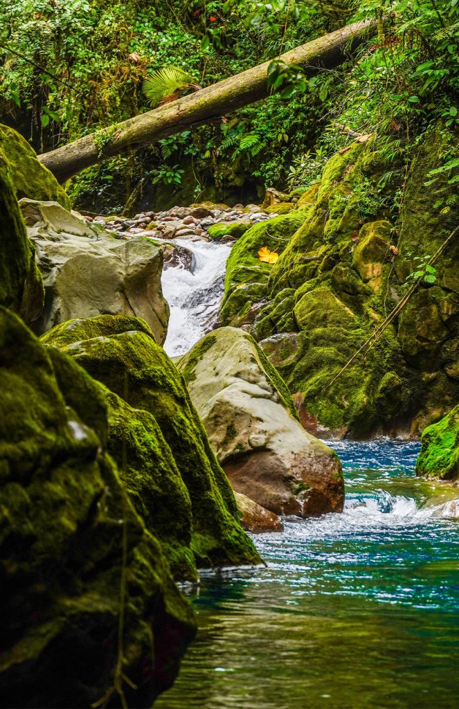 Natur in Costa Rica