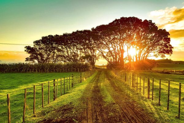 Landschaft beim Sonnenuntergang, Neuseeland