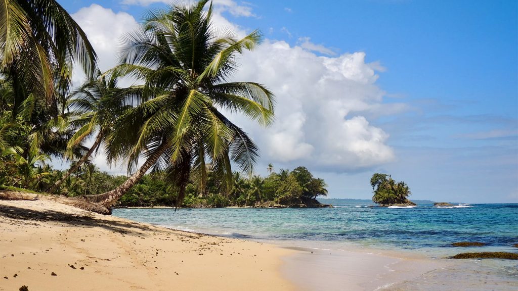 Palmen am Strand von Panama