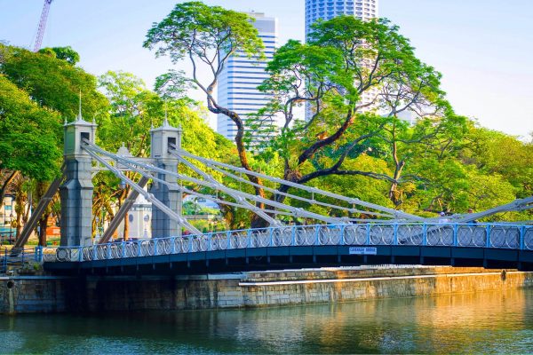 Brücke im Garten, Singapur