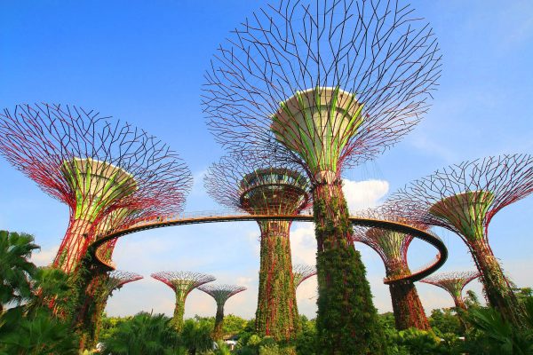 Künstliche Bäume, Gardens by the Bay, Singapur