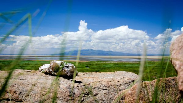 Lake Manyara, Tansania