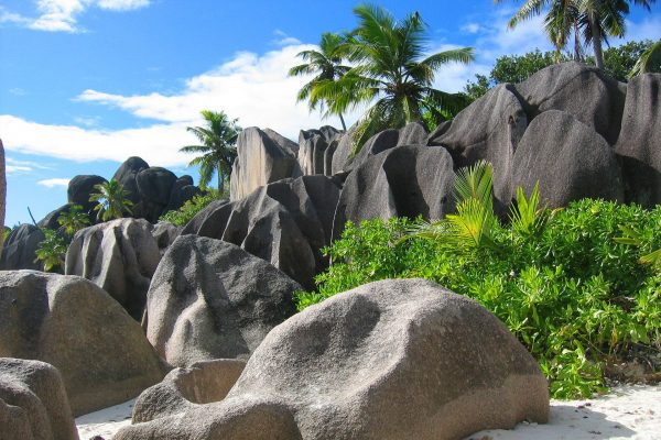 Granitsteine und Palmen, Seychellen