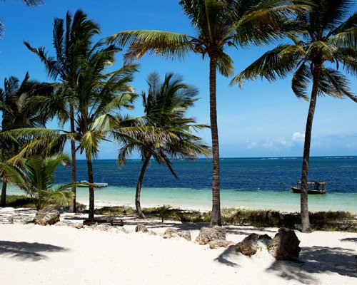 Kenia: Savanne, Regenwald & Strand Hintergrundbild Kenia: Savanne, Regenwald & Strand Hintergrundbild