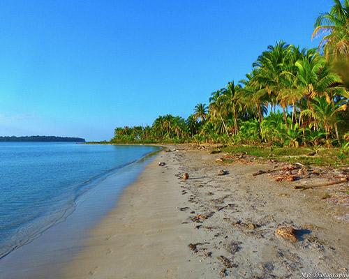 Rundreise "Best of Panama" & Baden Isla Colón Hintergrundbild