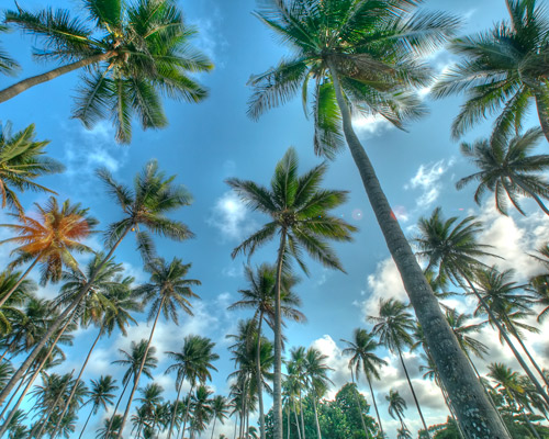 All-inclusive-Strandurlaub in Puerto Plata