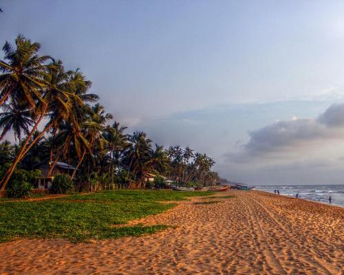 All Inklusive Badeurlaub Sri Lanka (Wadduwa)