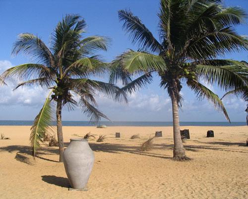 Badeurlaub in Sri Lanka: Negombo Hintergrundbild