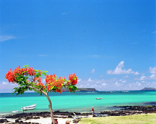 Mauritius - von Süd nach Nord inklusive Mietwagen Hintergrundbild